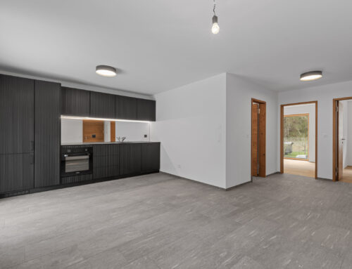 Charmante 3½ Zimmer- Ferienwohnung Nr. 2 – Surrein