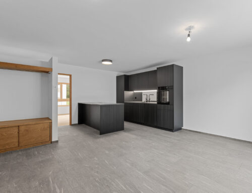 3½ -Zimmer-Wohnung Nr. 3 mit grossem Balkon im 1. OG als Zweitwohnsitz – Surrein