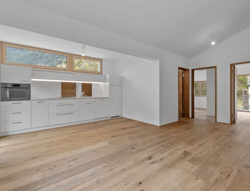 3½ Zimmer-Ferienwohnung – Dachwohnung Nr. 4 – Surrein